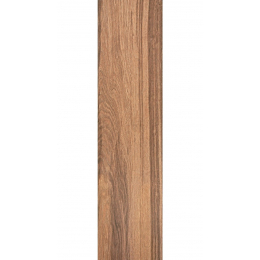Dlažba La Futura Planks hnědá 30x120 cm naturale rektifikovaná