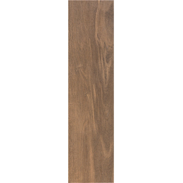 Dlažba Pamesa Legno nogal 25x100 cm naturale