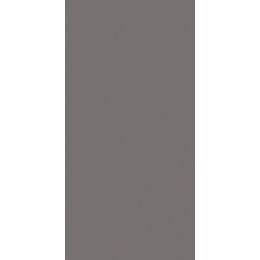 Obklad Rako Concept Plus tmavě šedá 20x40 cm lesklý