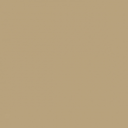 Obklad Rako Color One tmavě béžová 20x20 cm naturale