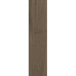 Dlažba Cotto Petrus Rangers Americano Avana 15,5x62 cm naturale